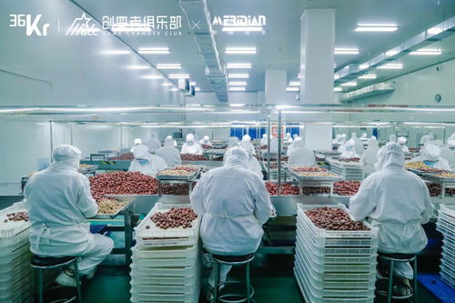 源頭工廠 消費產業增長的韌性引擎——互聯網銷售新業態下的產業帶計劃